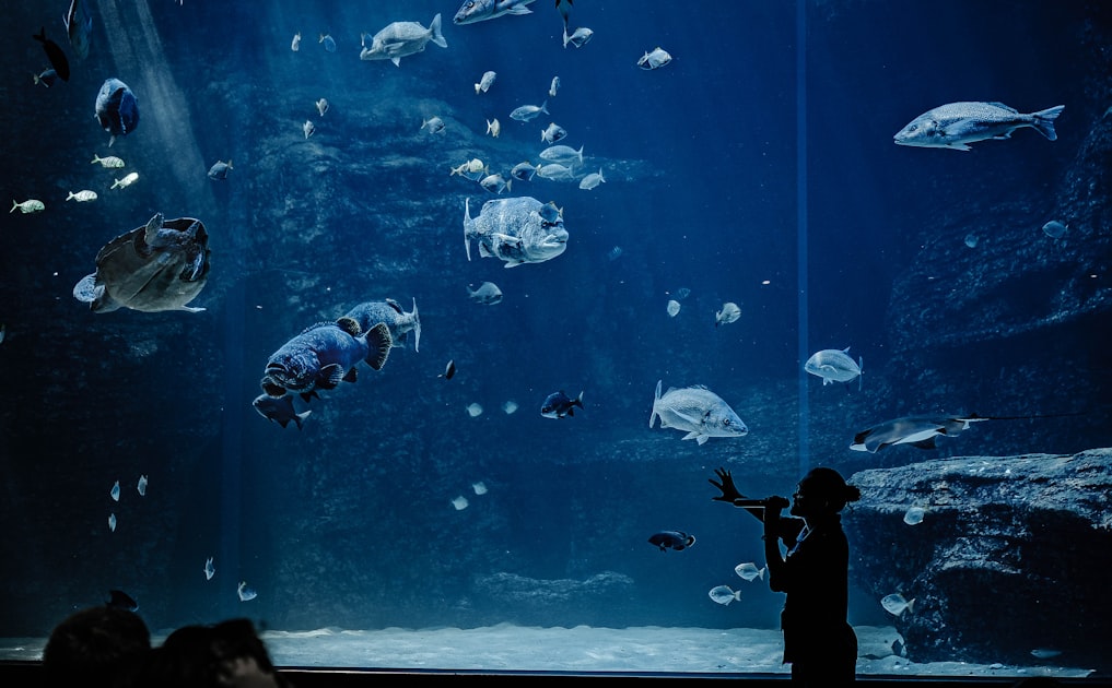 Benefits of Sustainable Aquaculture