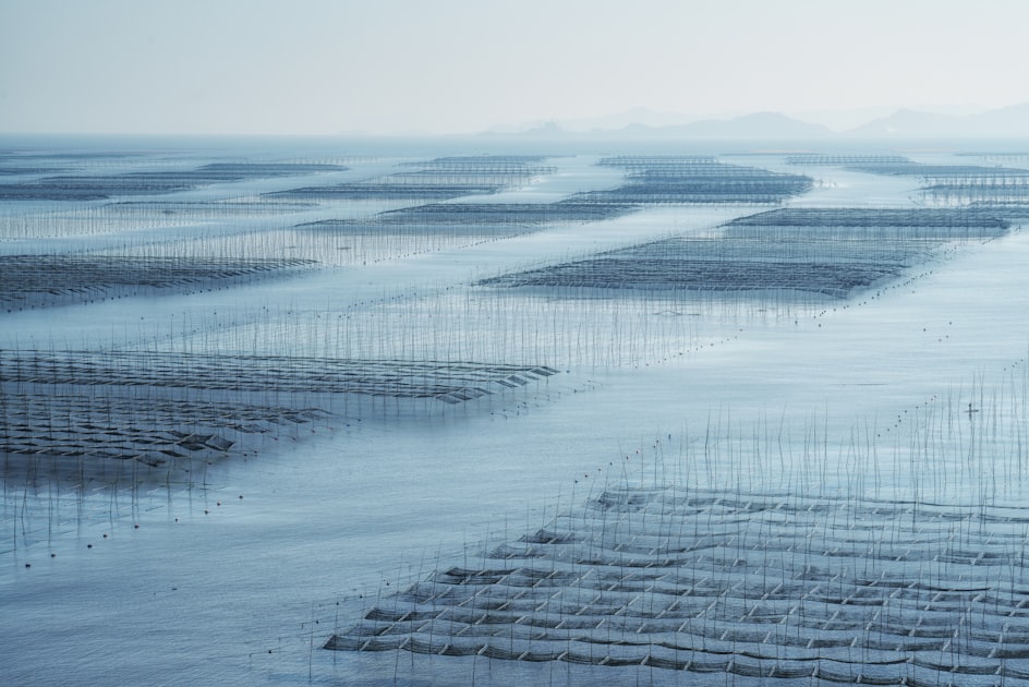 Innovations in Aquaculture Technology