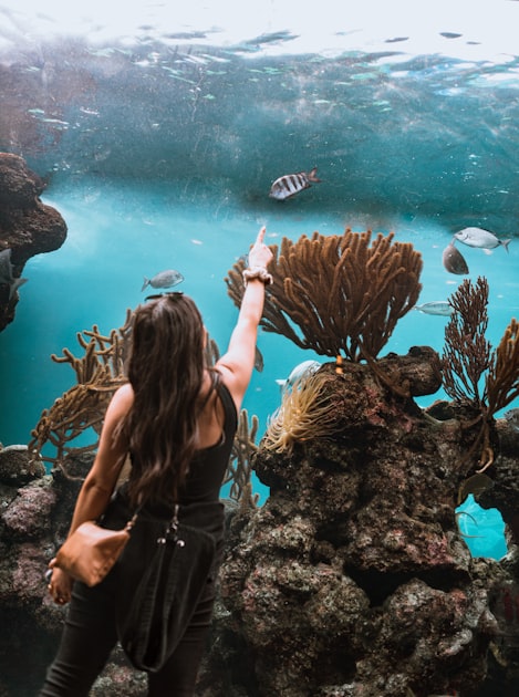 Aquaculture Regulations You Should Know