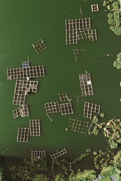 Top Aquaculture Products for Your Farm